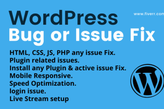 fix wordpress errors and issues using manual coding