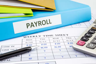 do payroll management and related services