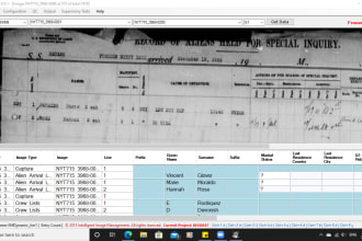 do excel data entry, copy paste, web research, convert pdf