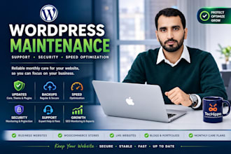 provide monthly wordpress maintenance and support