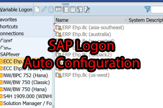 provide instant access to sap erp system