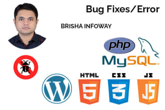 fix wordpress , php , html ,css , jquery and database bugs