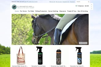 develope a SHOPPING website with a premium design