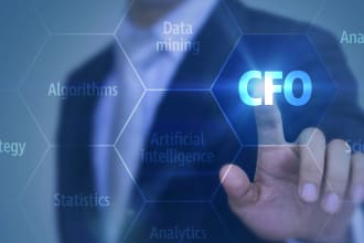 provide US CPA services for outsourced cfo, controller and accountant worldwide