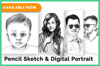 draw pencil sketch, pet portrait, couple portrait, pencil drawing illustration