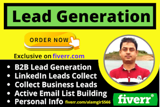do highly targeted linkedin b2b lead generation and email list building