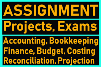 do accounting, finance and ms office assignment, project