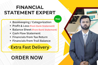 do financial statements, balance sheet and income statement