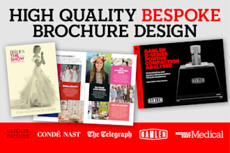 design a professional brochure or booklet