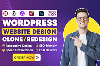 design, clone, copy, revamp, fix wordpress elementor website
