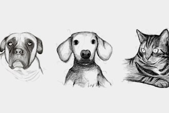 scribble your pet with procreate