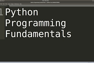 teach basics of python programming