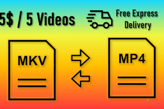 convert mkv, vid to mp4 and other formats conversion
