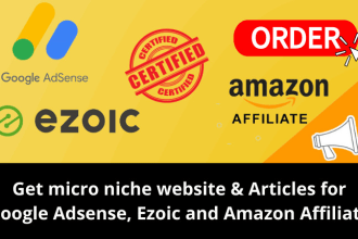 build niche or micro niche website for adsense, affiliate or ezoic