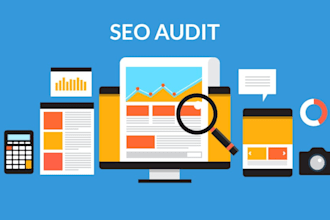 do SEO audit of website