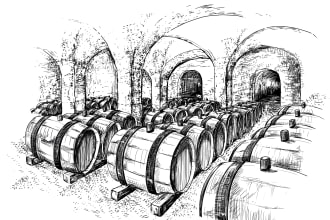 create an old fashion illustration