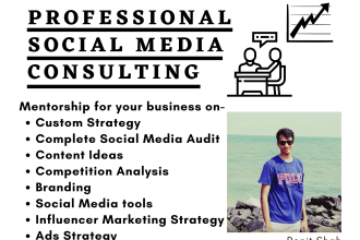 provide a social media strategy consultation for your brand