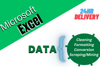 do data entry, scraping in ms excel from web and images