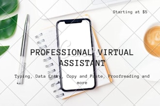 be your professional virtual assistant