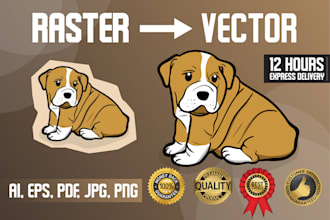 do all vector tracing conversion