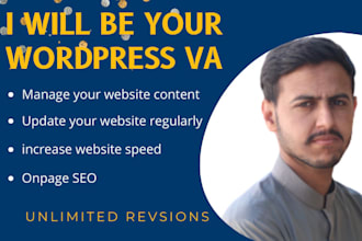 be your wordpress virtual assistant and developer