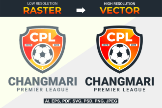 redesign, vectorize or copy logo and graphics