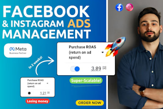set up and manage facebook ads campaign, run instagram ads