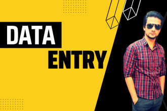 do excel data entry