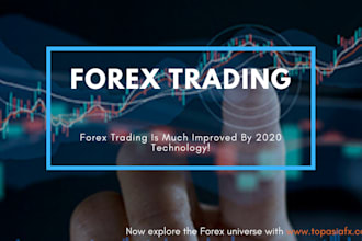teach the basics of forex market