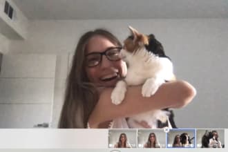 write your pet related blog post articles