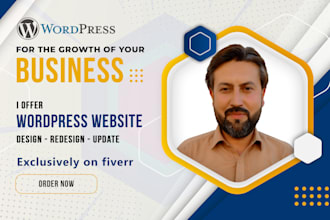 build clean modern and responsive wordpress website design