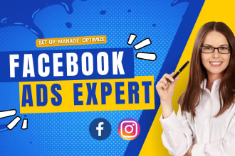 setup and manage your facebook ads, instagram ads campaign