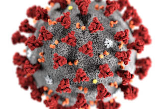 provide top notch public health and microbiology articles