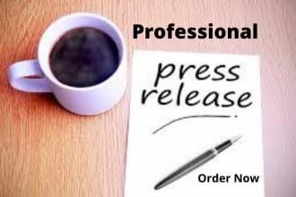 write a professional press release