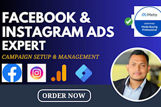 setup and manage facebook ads and instagram ads campaign for shopify