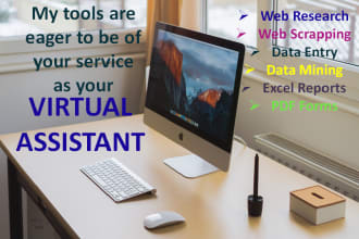 result oriented web research, data entry, excel work