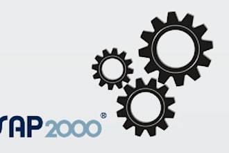 develop tools for  sap2000 or etabs using csi API