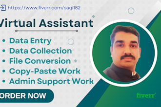 be your virtual assistant for data entry and other admin support work
