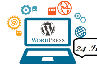 do professional word press data entry in 24 hours