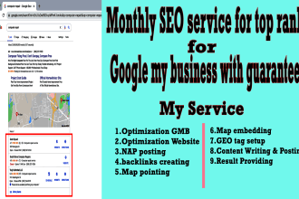 provide monthly SEO for google my business rank up