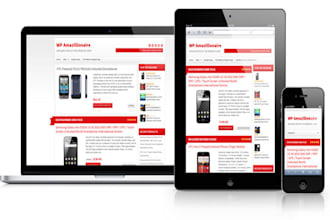 build you an Amazon store wordpress site