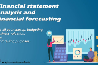 perform financial forecasting modeling and analysis