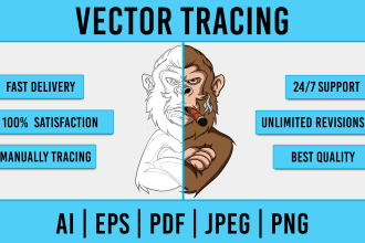 fast vectorize image, raster to vector, manual vector tracing