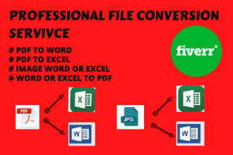 do professional pdf  to word or excel file conversion