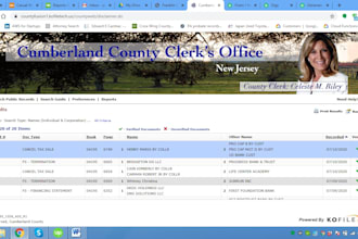 provide tax delinquent divorce eviction deed lien lispendens