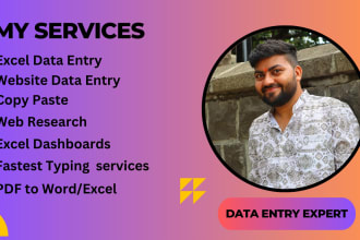 do data entry,copy paste,typing work,web research,excel data entry in 24 hours