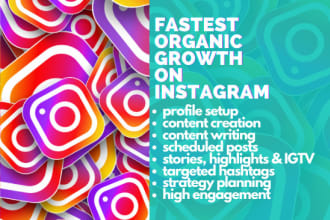 be your instagram manager and content creator