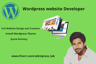 build professional level wordpress website, design and redesign