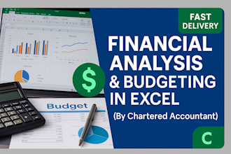 prepare professional budgeting and financial analysis in excel