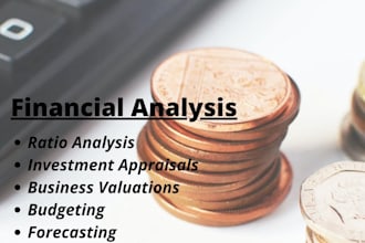 do financial and ratio analysis and budgeting